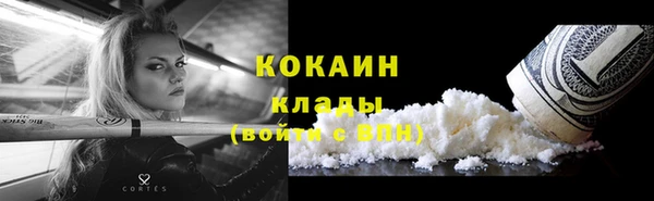 крисы Белоозёрский