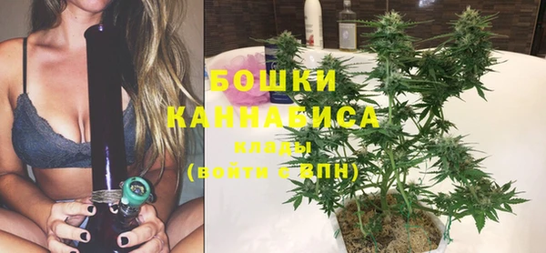 крисы Белоозёрский