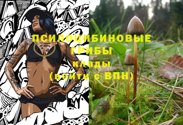 крисы Белоозёрский